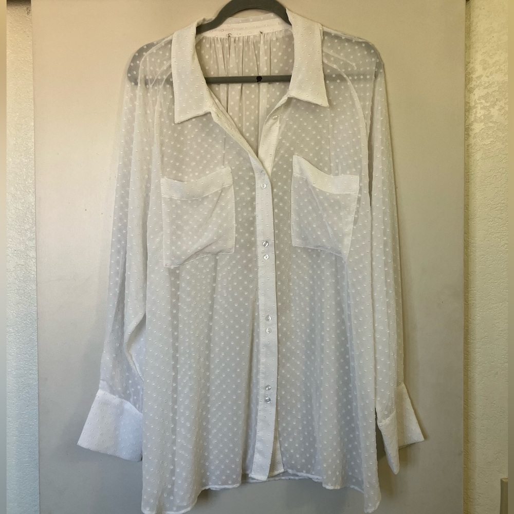Zara Swiss dot sheer shirt